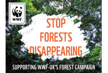 Arbor Forest Products joins WWF to tackle forest destruction
