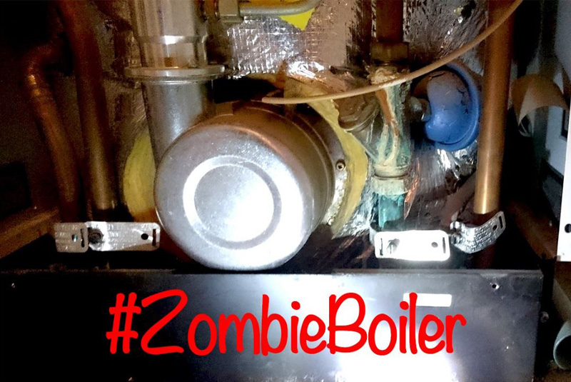 Plumb Center announces top Zombie Boiler hunter