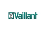 Vaillant discusses infrastructure and decarbonisation