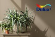 Dulux announces 2021 Colour Of The Year