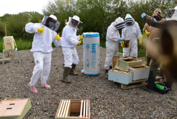 Gwent Beekeeping Centre uses Knauf Insulation