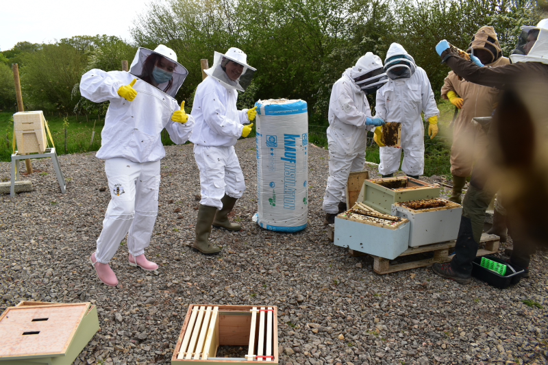 Gwent Beekeeping Centre uses Knauf Insulation