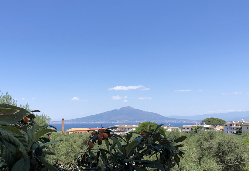 The NMBS Conference 2022 gave delegates the opportunity to enjoy a stunning Bay of Naples location while “immersing themselves in a programme packed with insight, analysis and plenty of networking opportunities”.