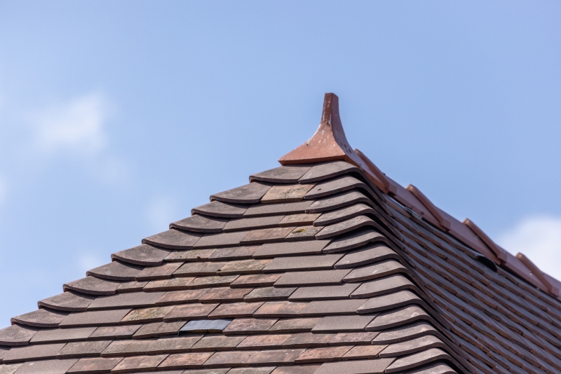 When it comes to complicated roofing jobs, assembling the right team makes all the difference and Marley was able to provide the right product and support at the right time for a complex roof refurbishment project at Chester Zoo.