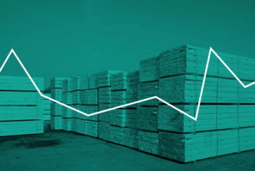 TDUK figures demonstrate ‘signs of recovery’ in timber market