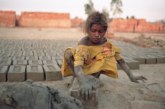 Enough is enough: BDA campaign highlights the importance of correctly sourced clay bricks
