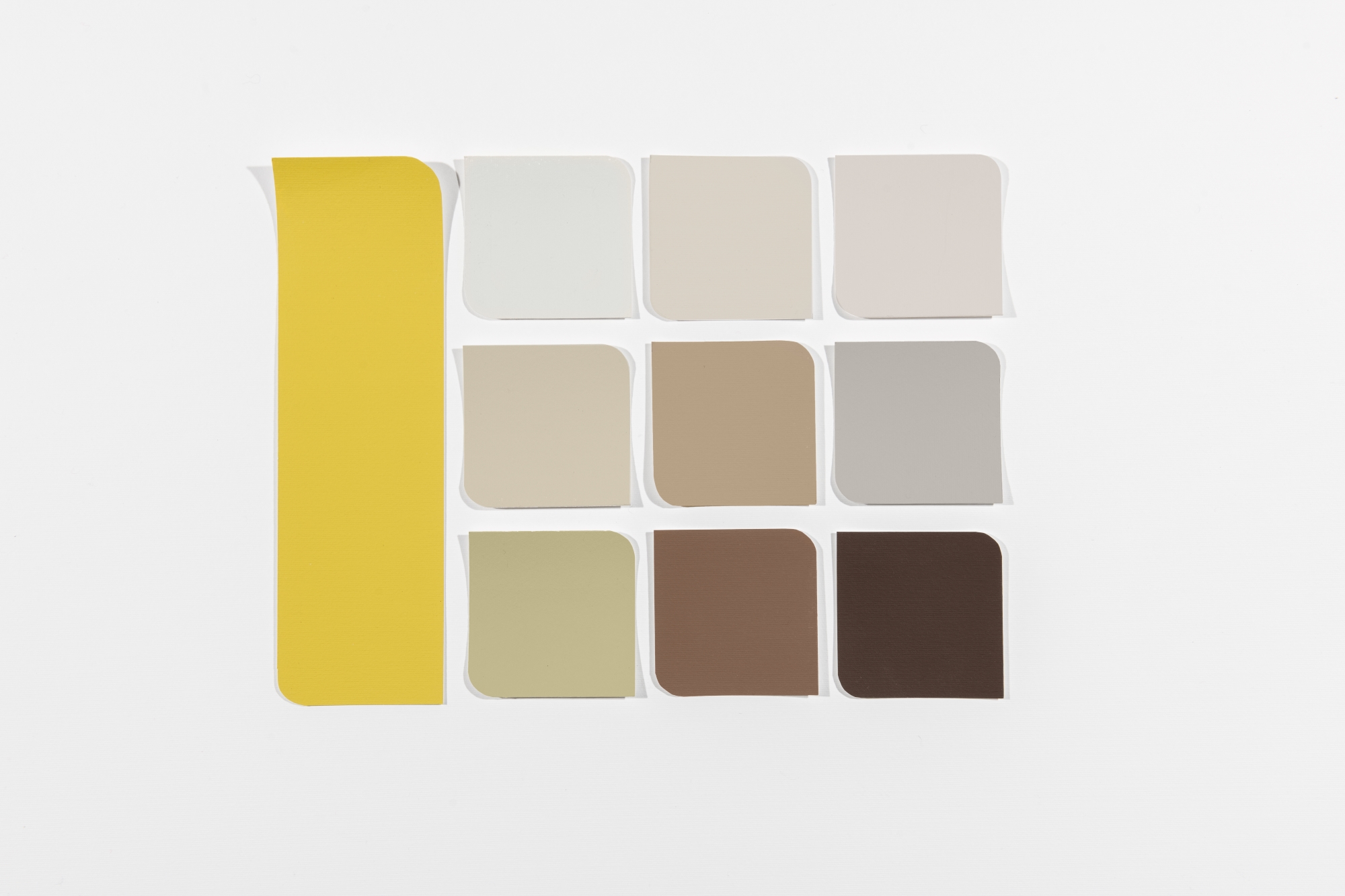 Dulux is urging the sector to embrace yellow and “infuse a sense of optimism, pride and imagination into their projects” as the paint manufacturer announces ‘True Joy’ as its Colour of the Year for 2025.