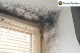 Travis Perkins warns social landlords “to be proactive with mould complaints”