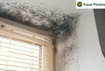 Travis Perkins warns social landlords “to be proactive with mould complaints”