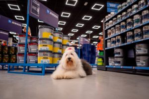 Jewson has officially opened its reinvented St Austell branch, following a major refurbishment.